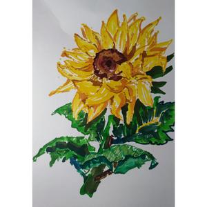 Facing the sunshine 3.0