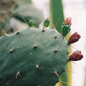 就像明天的雨还是会下起 rought mix
