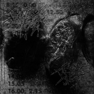 Хабаровский зловещий пылесос