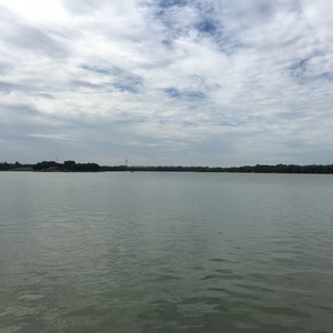 省博西路没有人