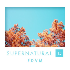 S u p e r n a t u r a l . 15 // FDVM