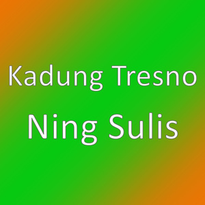 Ning Sulis