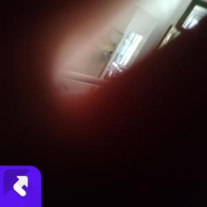 月色下的四季流转