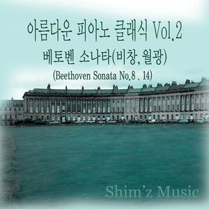 Beethoven Sonata. No.14 - Presto agitato