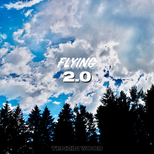 Flying 2.0