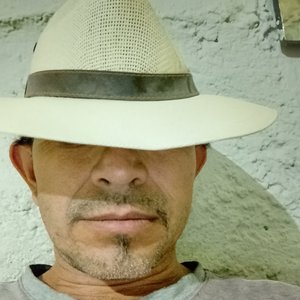 Caprichos de la vida