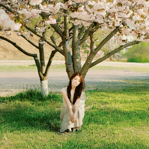 달빛이 머문 밤