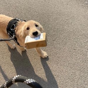 庄心妍-有爱就不怕（ DJ阿柒 Remix）