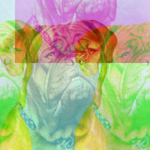Gemmy