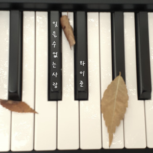 잊을수 없는 사랑