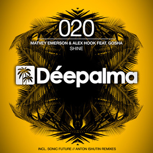 Shine (Anton Ishutin Remix)