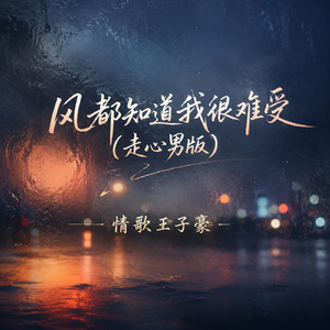 风都知道我很难受(走心男版)