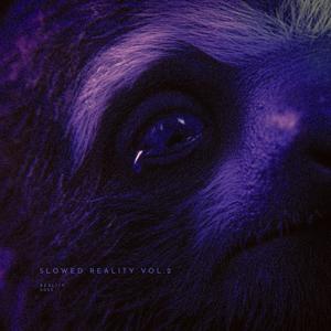 is it really the end (slowed + reverb)