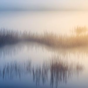 山水诗意 (琵琶放松)