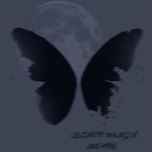 黑翼（Prod.FUNIHILAND)