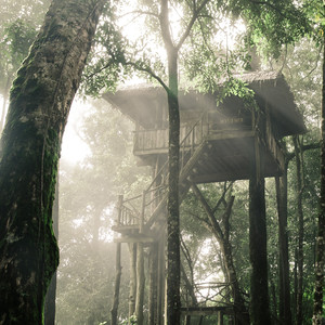 くるみ割り人形より、花のワルツ