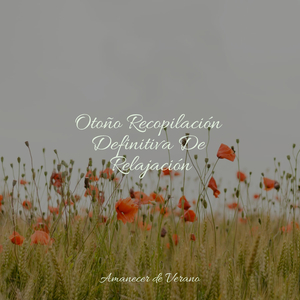 El Abrazo Suave del Verano