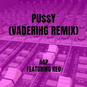 Pu$$y (Vaderihg Remix)