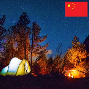 有蟋蟀声的森林篝火