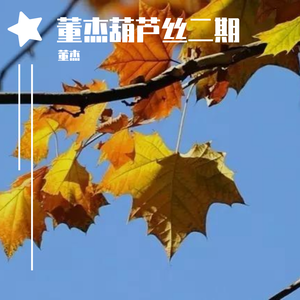 群星-梦里水乡葫芦丝（董杰 Remix）