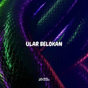 ULAR BELOKAN