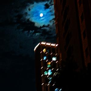 假如还有十分钟就要死亡（Prod by. No Birthday）