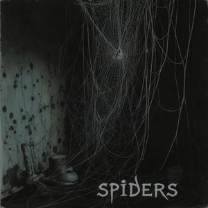 Spiders