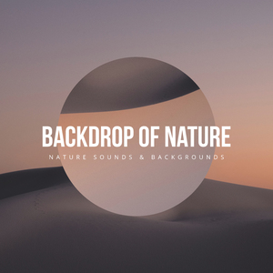 Tree Branch Rain Shelter