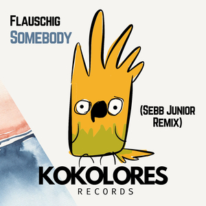 Somebody (Sebb Junior Extended Remix)