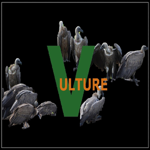 Vulture