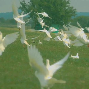 唱一首情歌送给我的老婆