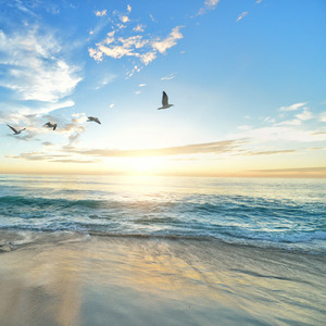 Beyond the Sea
