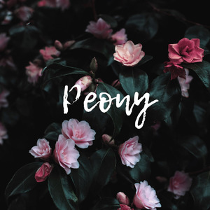 Peony