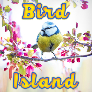 Bird Island (20 minutes)
