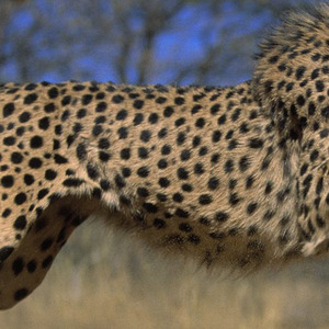 说再见不想应该在春天