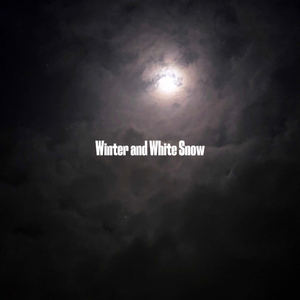 Winter  and White Snow