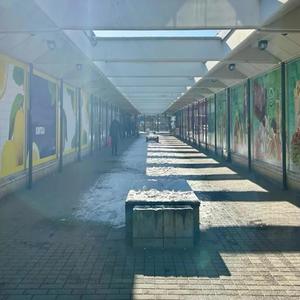 Kontulassa Kulttuuria