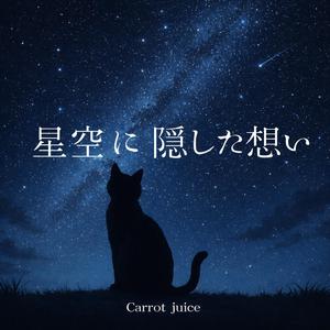 星空に隠した想い