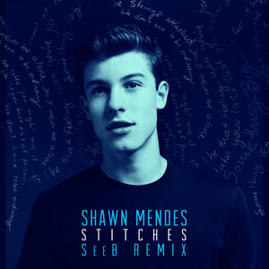 Stitches (SeeB Remix)