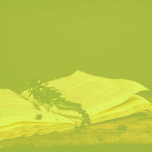 温和学习梦想