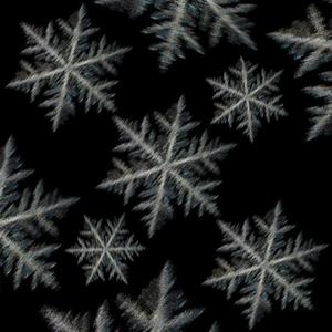 RELIGIOUS REASONS (feat. ¥UREM & ROB2x.)