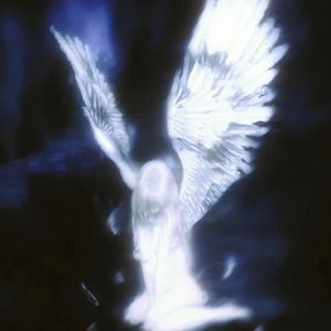 健忘的我生活很烂