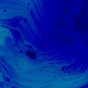 在一个礼拜四的晚上我决定和你告别