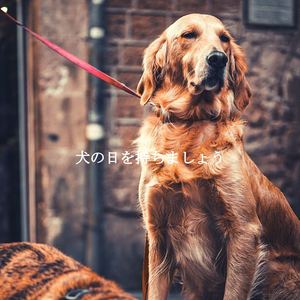 Wonderful (Co-Working Spaces)