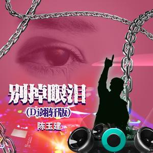 别掉眼泪 (Dj翊轩慢摇版)