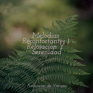 Oda Melódica al Infinito