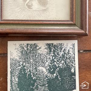 Floccin ✈︎✈︎✈︎ (feat. AyooLii)