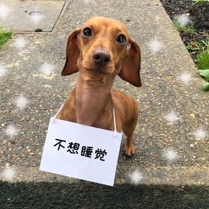 不想睡觉(Demo版)