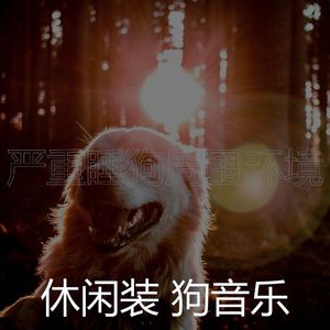 微妙的小狗心情