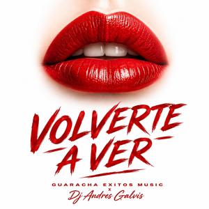 VOLVERTE A VER